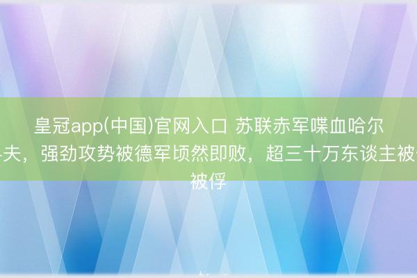 皇冠app(中国)官网入口 苏联赤军喋血哈尔科夫,强劲攻势被德军顷然即败,超三十万东谈主被俘