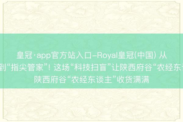 皇冠·app官方站入口-Royal皇冠(中国) 